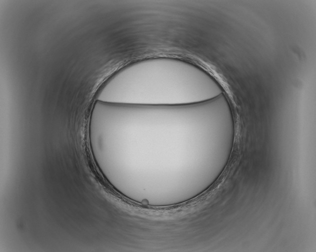 X0000115490010200911061011