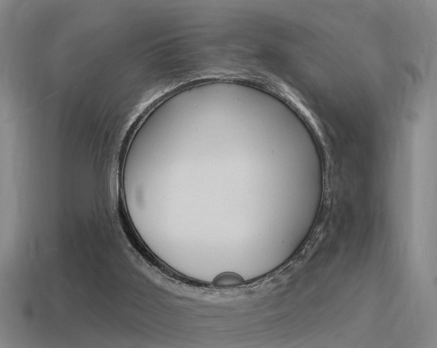 X0000115490011200911061011