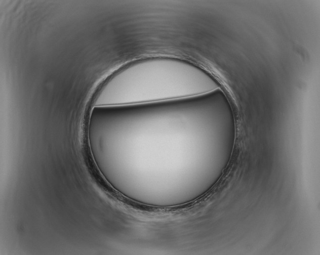 X0000115490012200911061011