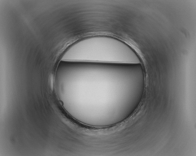 X0000115490013200911061011
