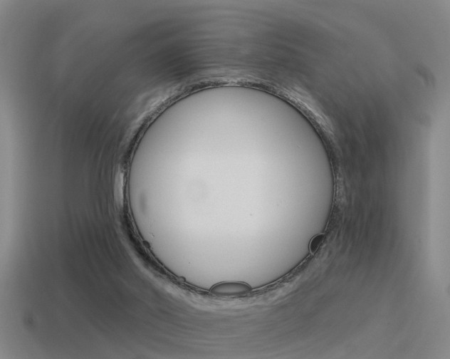X0000115490014200911061011