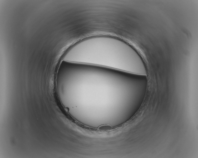 X0000115490015200911061011
