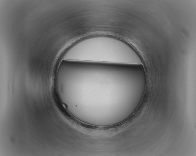 X0000115490016200911061011