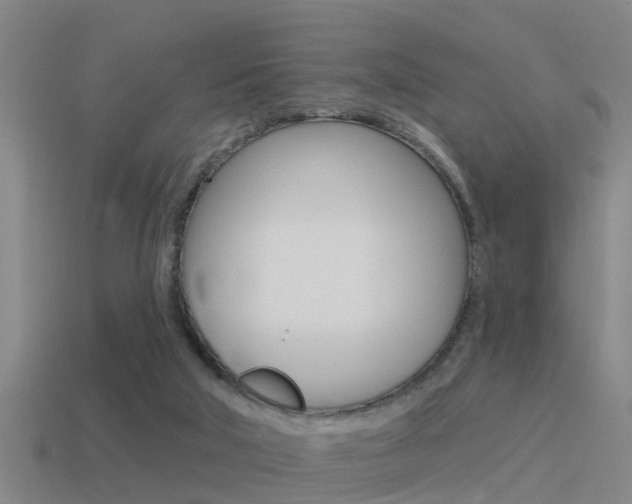 X0000115490018200911061011