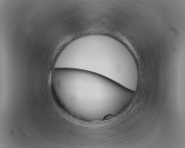 X0000115490019200911061011