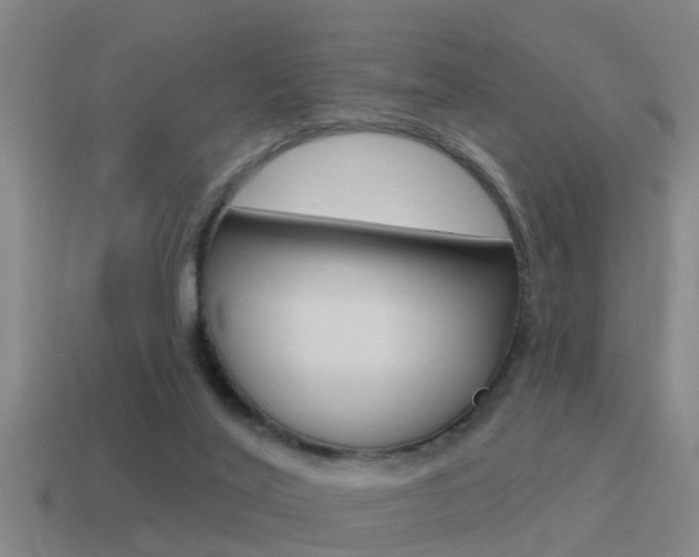 X0000115490020200911061011