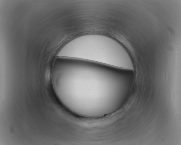 X0000115490021200911061011