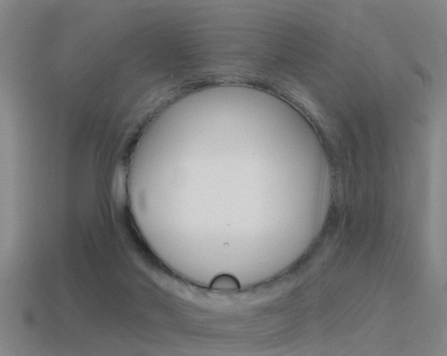X0000115490022200911061011