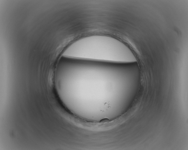 X0000115490023200911061011