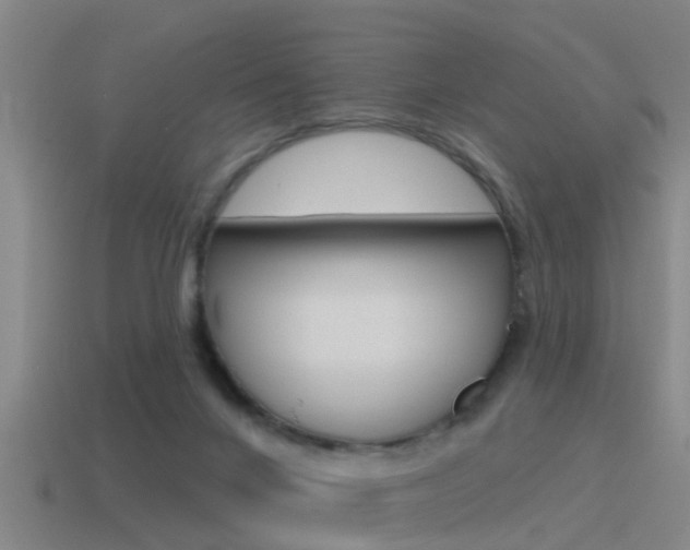 X0000115490024200911061011