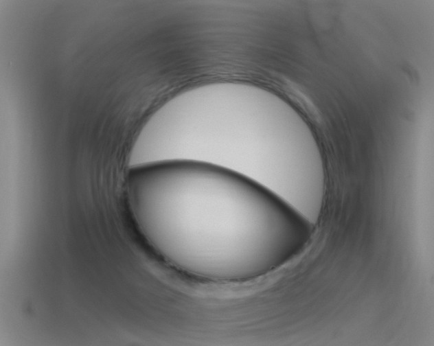 X0000115490025200911061011