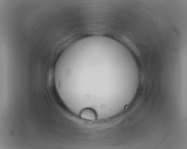 X0000115490026200911061011