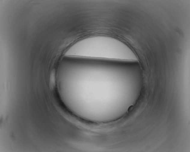 X0000115490028200911061011