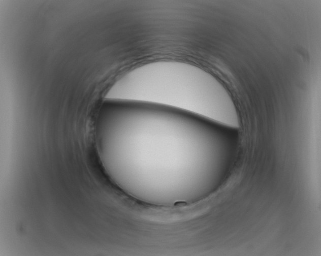 X0000115490029200911061011