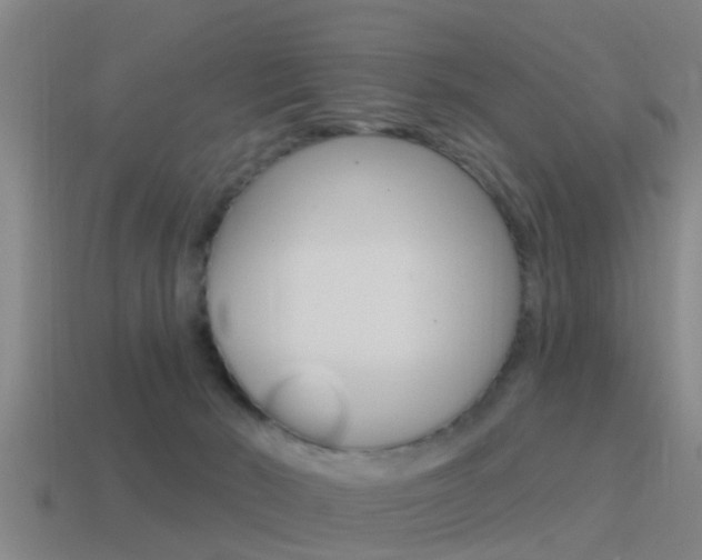 X0000115490030200911061011