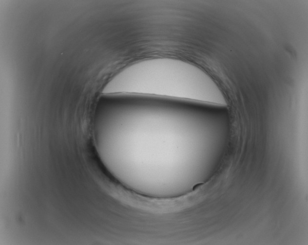 X0000115490031200911061011
