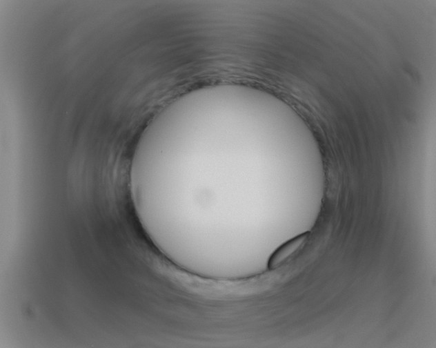 X0000115490034200911061011
