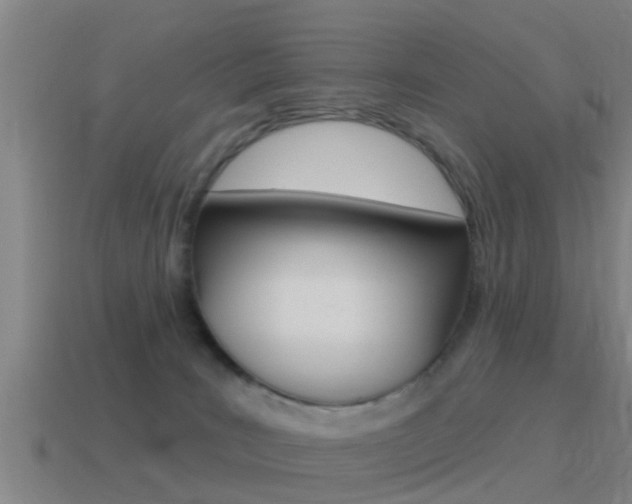 X0000115490035200911061011