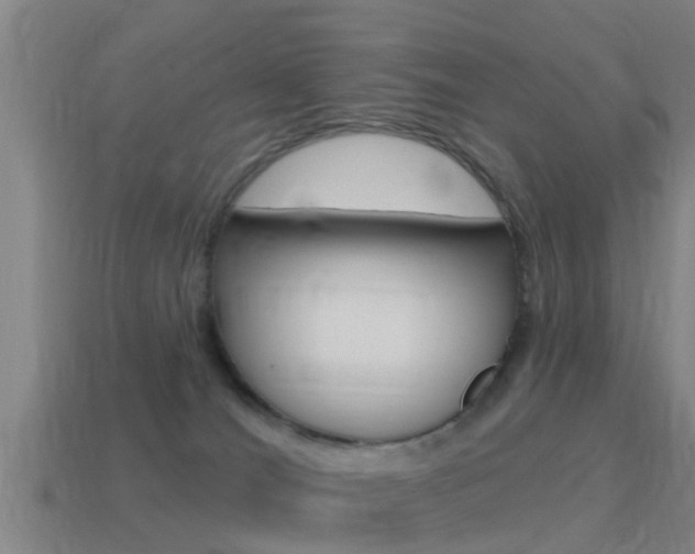 X0000115490036200911061011