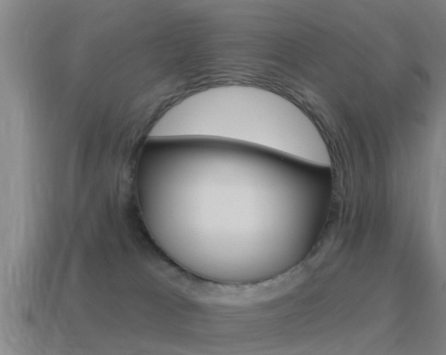 X0000115490037200911061011