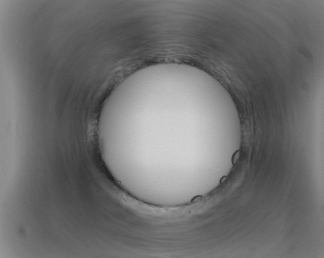X0000115490038200911061011