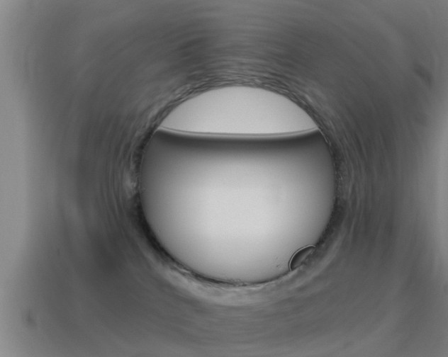 X0000115490040200911061011