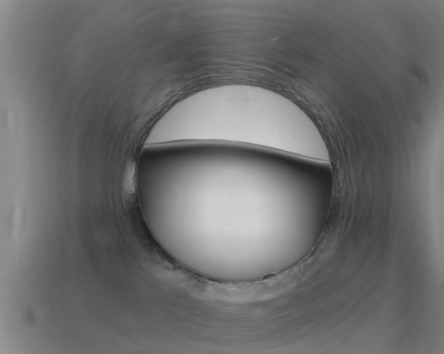 X0000115490041200911061011