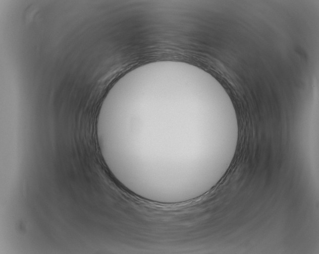 X0000115490043200911061011