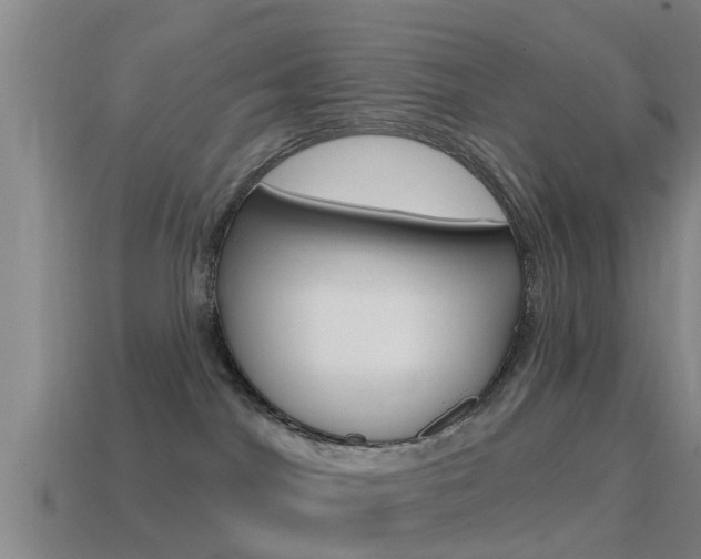 X0000115490044200911061011