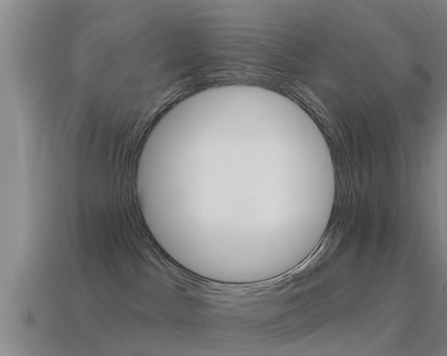 X0000115490045200911061011