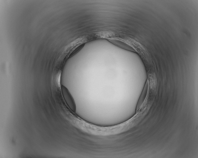 X0000115490047200911061011