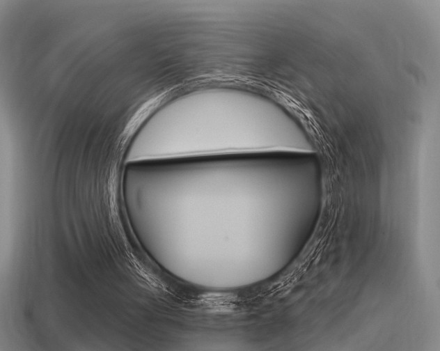 X0000115490051200911061010