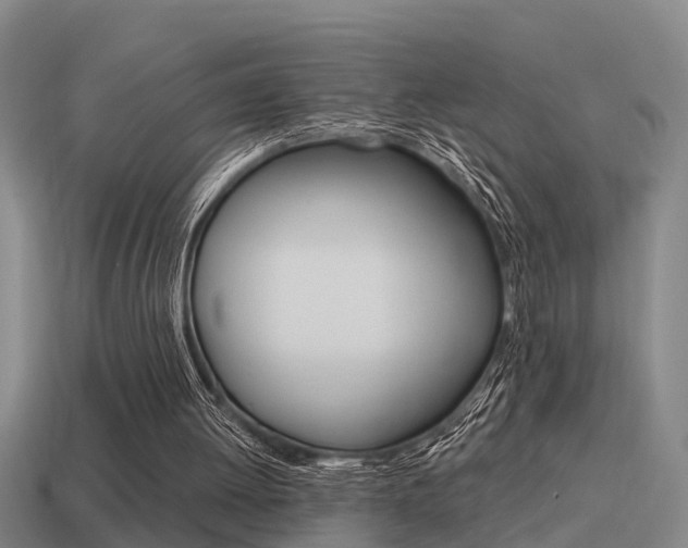 X0000115490052200911061010