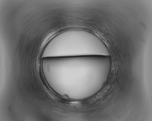X0000115490053200911061010