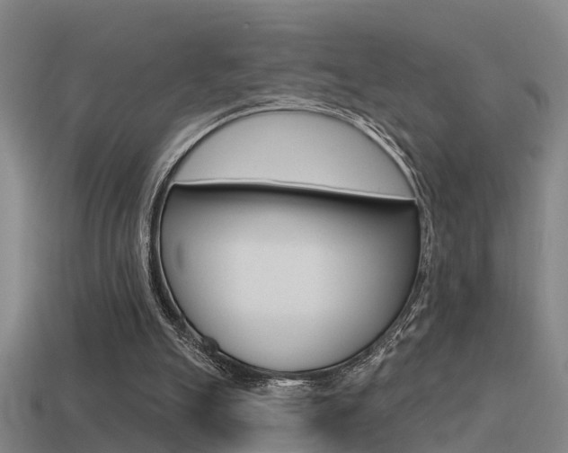 X0000115490055200911061010