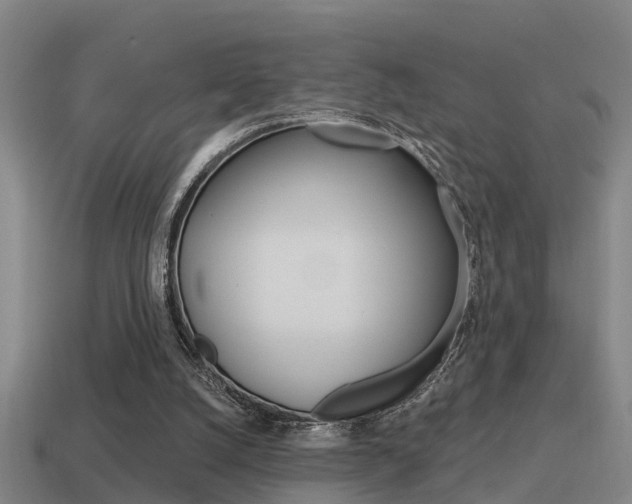 X0000115490056200911061010