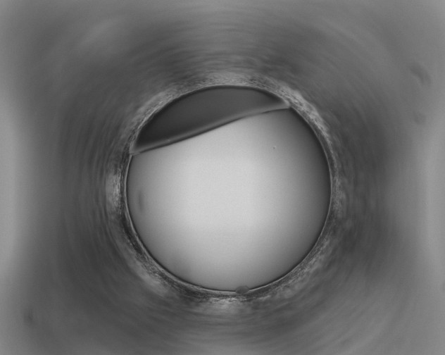 X0000115490057200911061010
