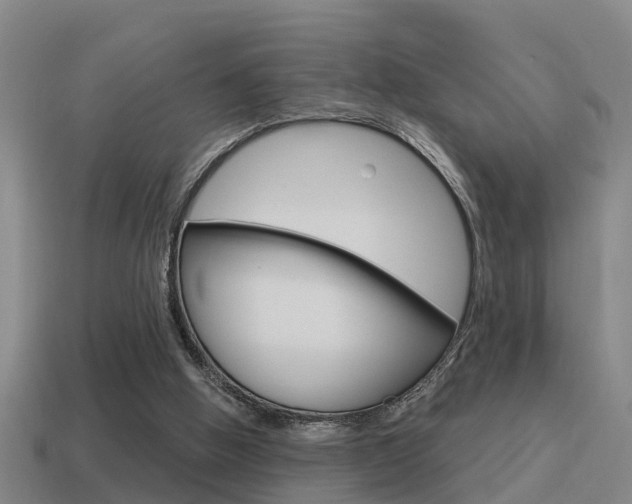 X0000115490058200911061010