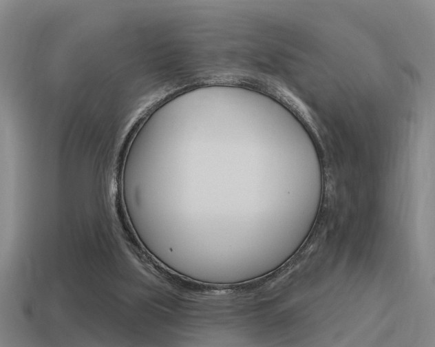 X0000115490059200911061010