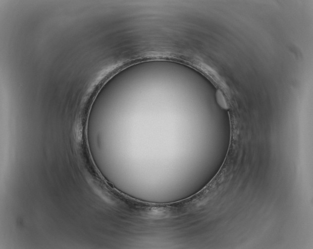 X0000115490060200911061010