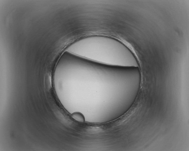X0000115490061200911061010