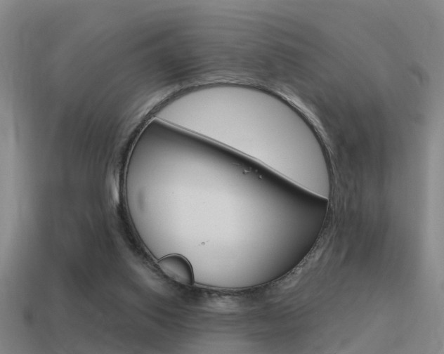 X0000115490062200911061010