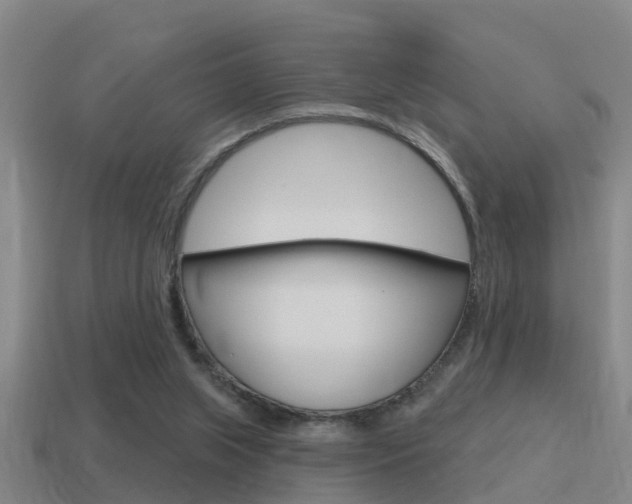 X0000115490063200911061010