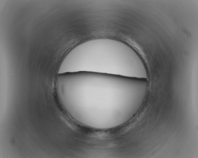 X0000115490065200911061010
