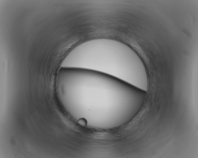 X0000115490066200911061010