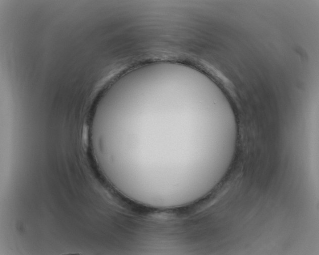 X0000115490067200911061010
