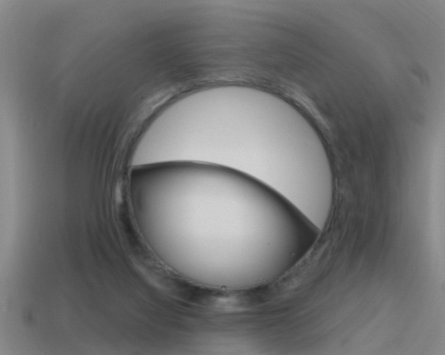 X0000115490068200911061010