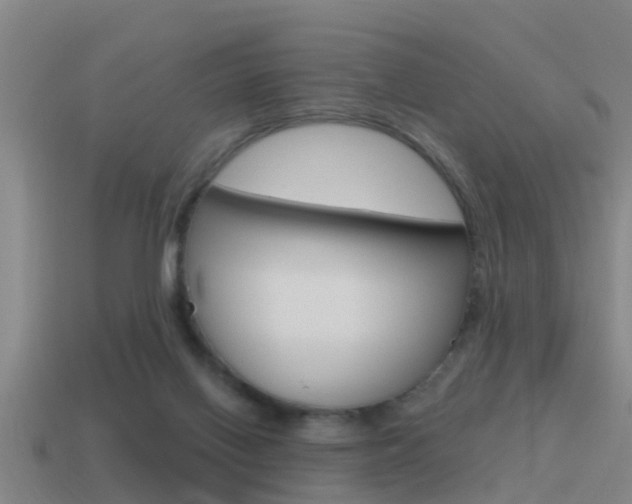 X0000115490070200911061010