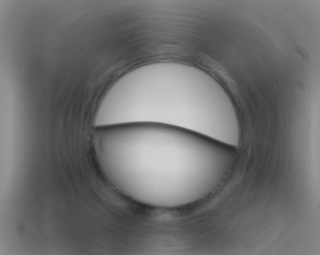 X0000115490073200911061010
