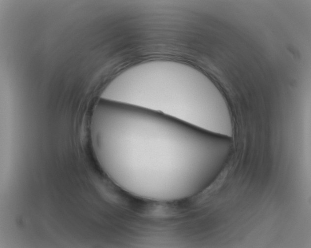 X0000115490074200911061010